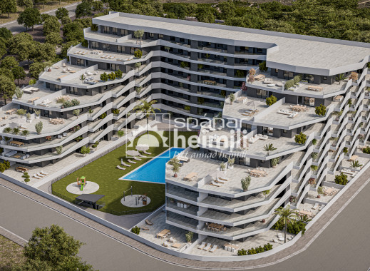 Apartamento - Obra nueva - San Miguel -
                San Miguel