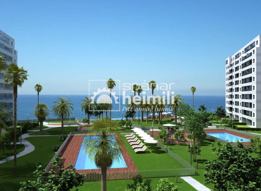 Apartment - New Build -
            Punta Prima - 2135