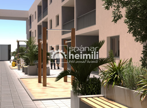 Apartment - New Build - San Miguel -
                San Miguel