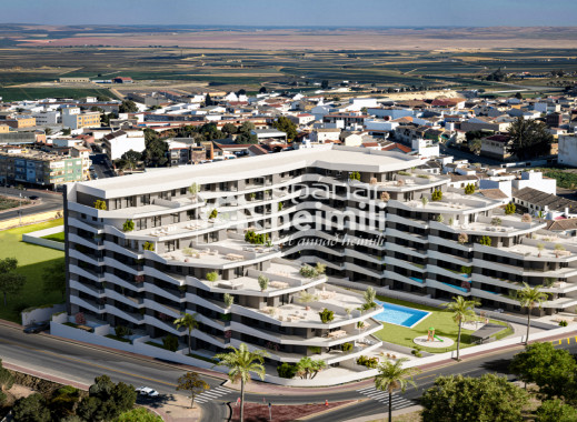 Apartment - New Build - San Miguel -
                San Miguel
