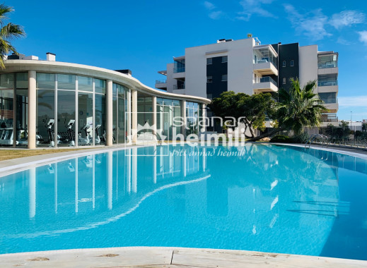 Apartment - Resale - Villamartin - Villamartin