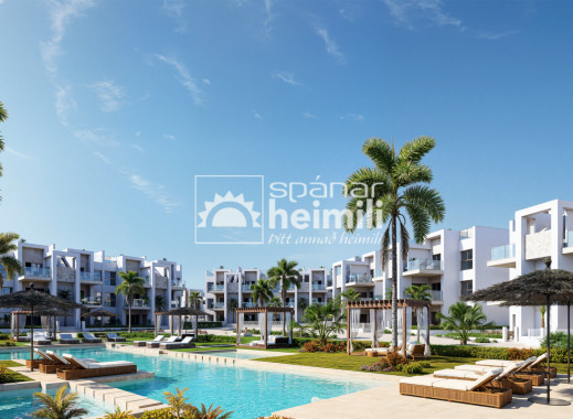 Appartement - Nouvelle construction - Los Alcazares -
                Los Alcazares
