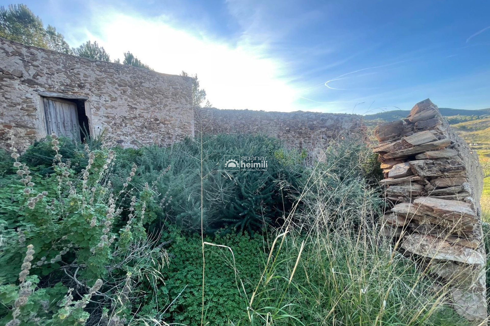 Endursala -  -
Cartagena