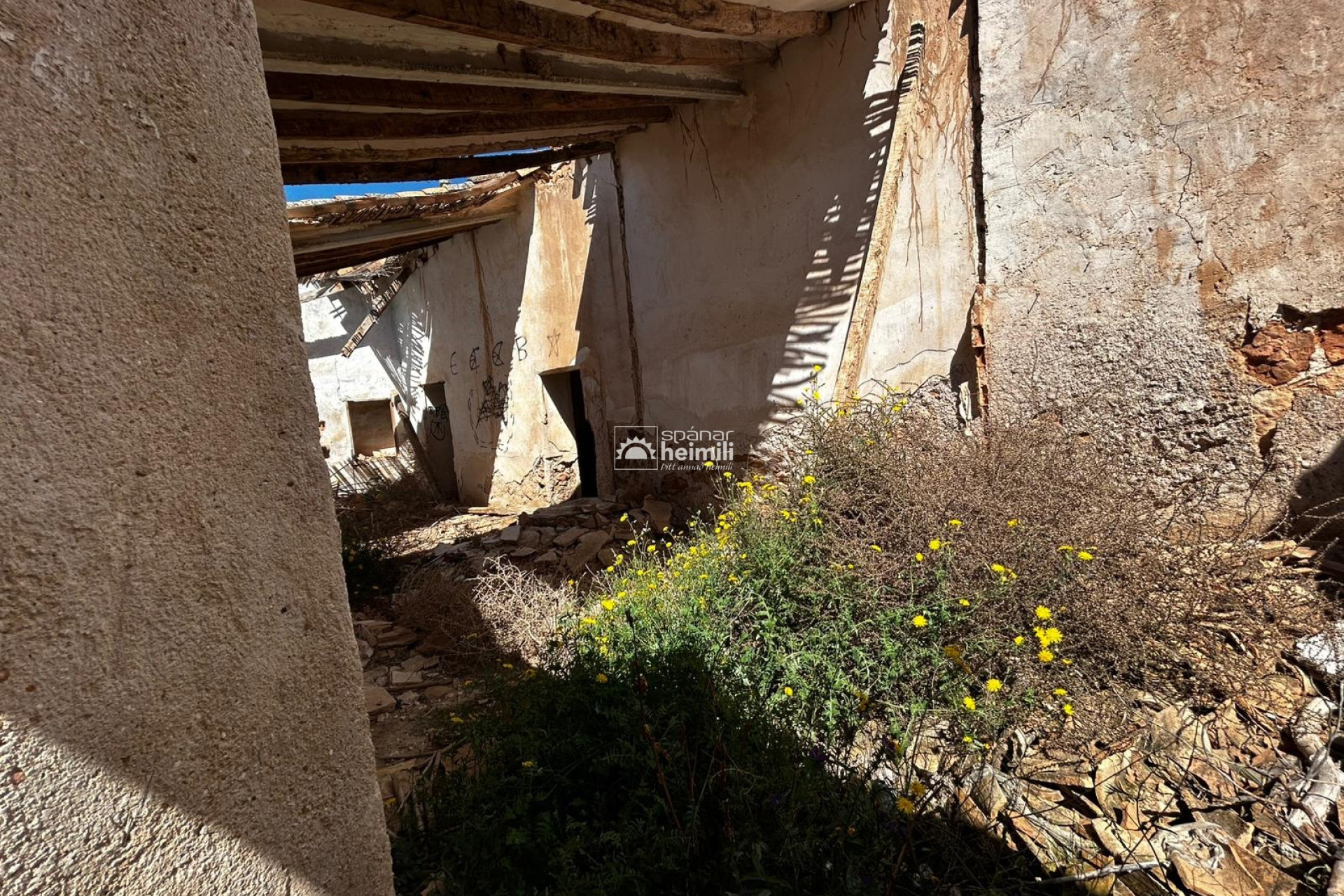 Endursala -  -
Cartagena