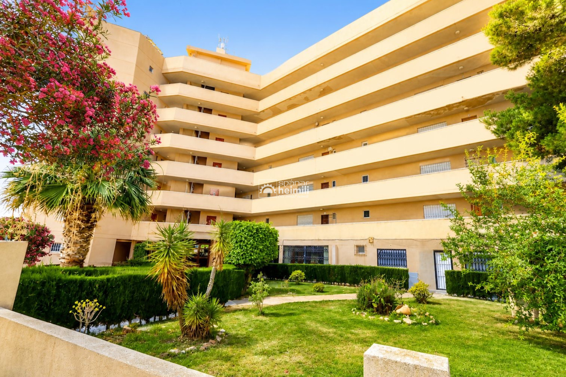 Endursala - Íbúð í fjölbýli -
Orihuela Costa - La Zenia
