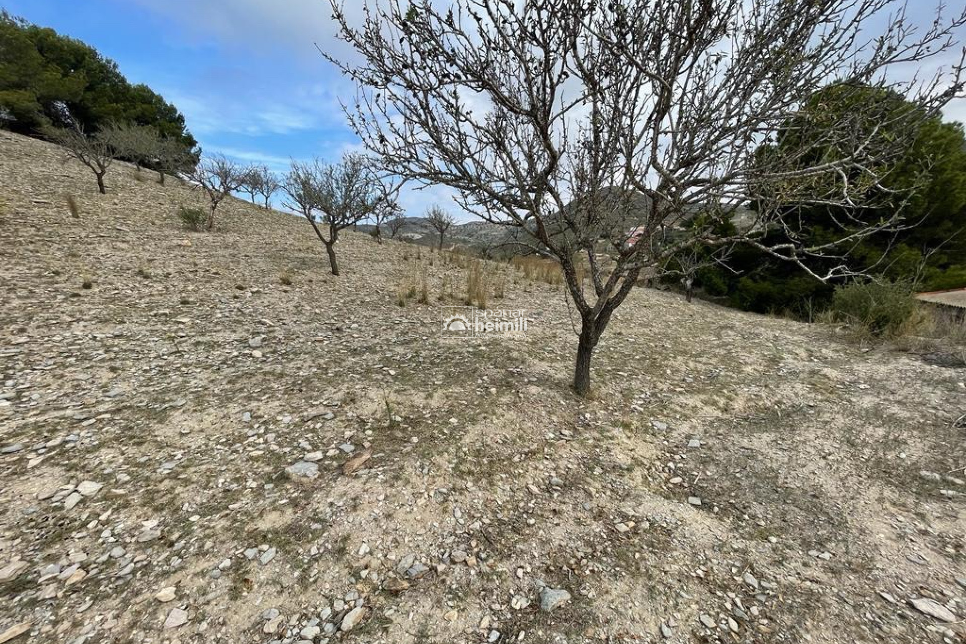 Endursala - Sveitabýli -
Cartagena