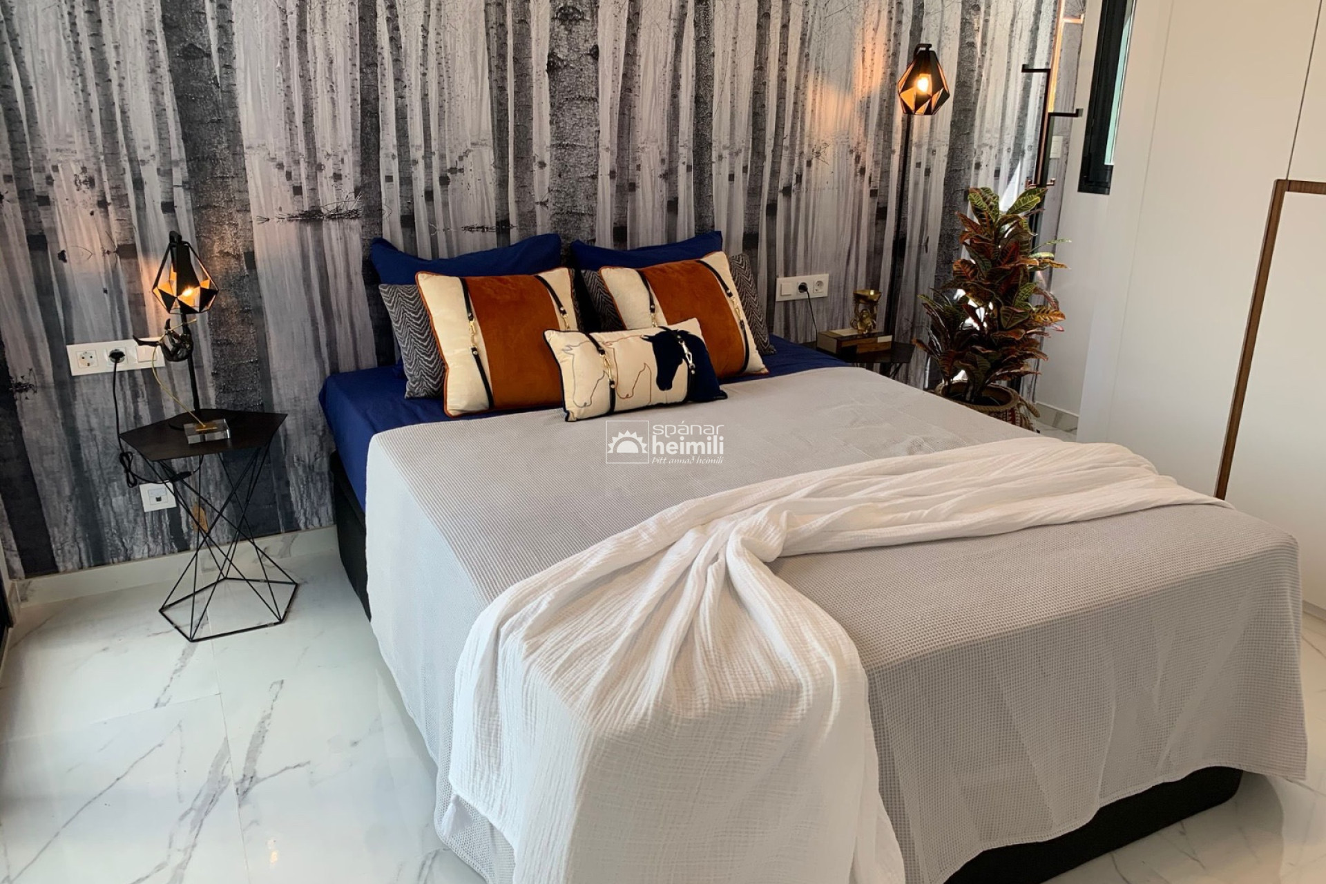 Endursala -  -
Torrevieja