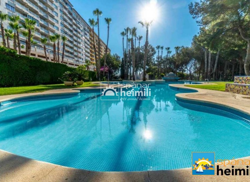 Herverkoop - Appartement -
Campoamor/Las Ramblas