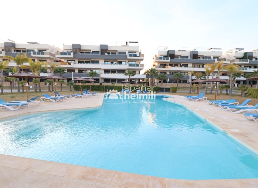 Herverkoop - Appartement -
Playa flamenca