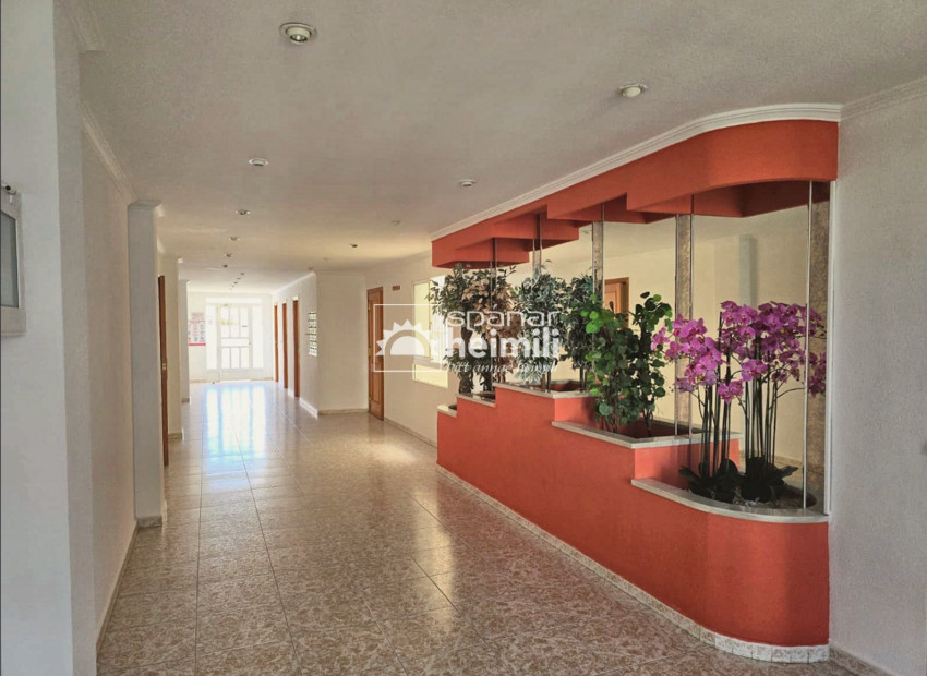 Herverkoop - Appartement -
Torrevieja