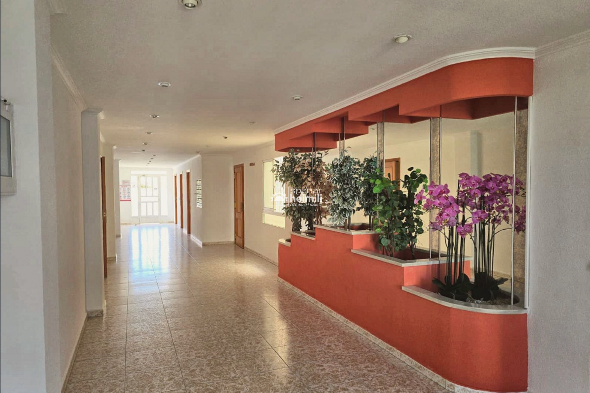 Herverkoop - Appartement -
Torrevieja