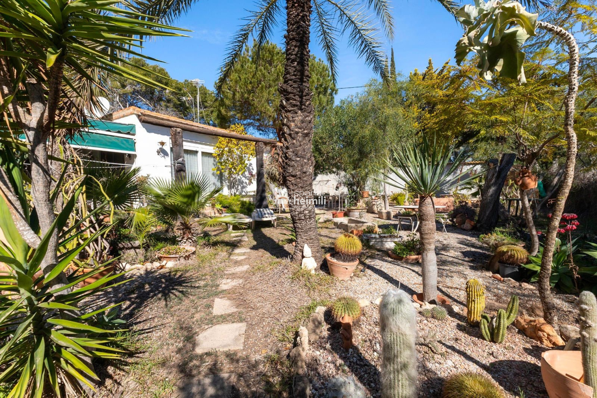 Herverkoop -  -
Cabo Roig