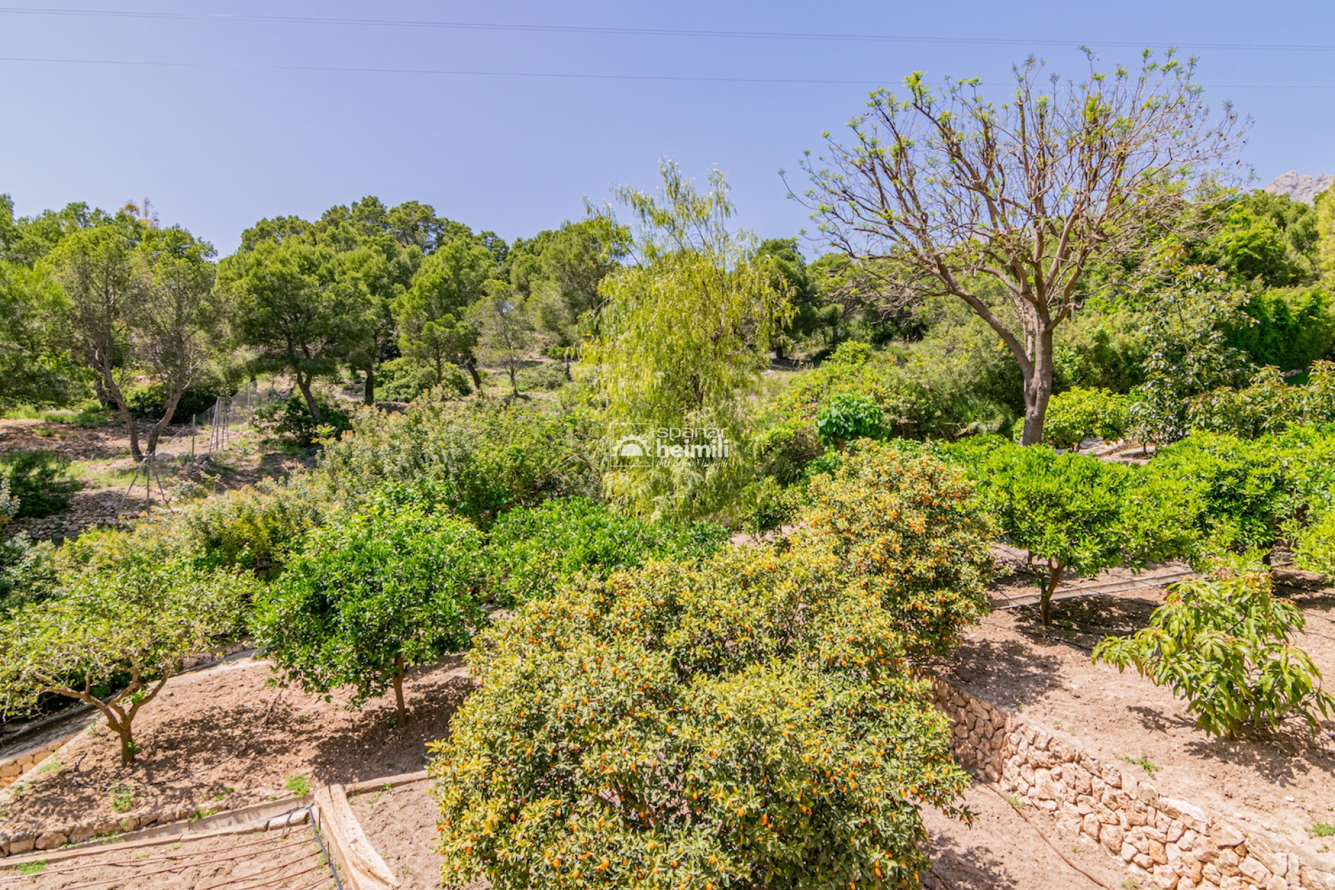 Herverkoop - Villa -
Albir, Alfaz / Altea - Altea