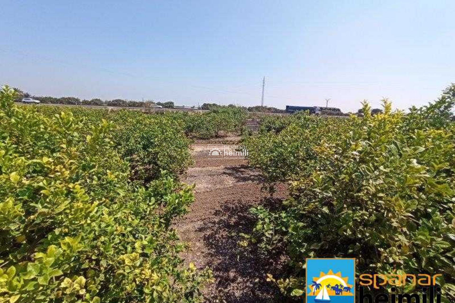 Herverkoop - Villa -
San Miguel