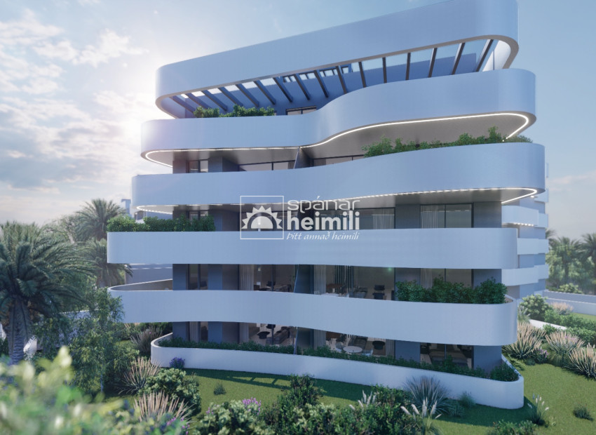 New Build - Apartment -
El Raso