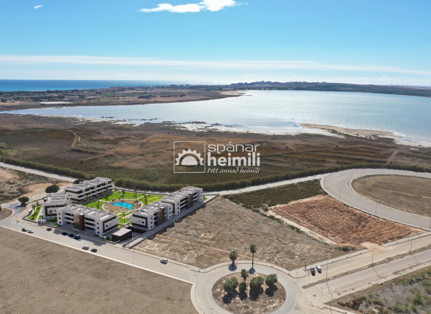 New Build - Apartment -
Guardamar/La Marina