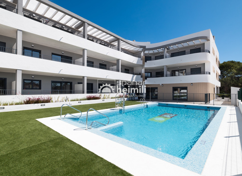 New Build - Apartment -
Mil Palmeras