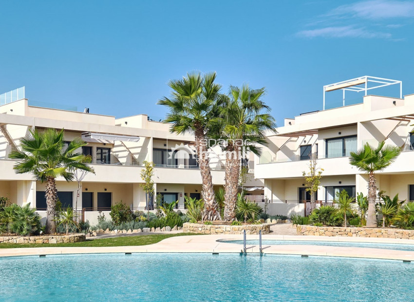 New Build - Apartment -
Torrevieja