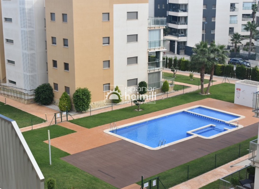 New Build - Apartment -
Villamartin