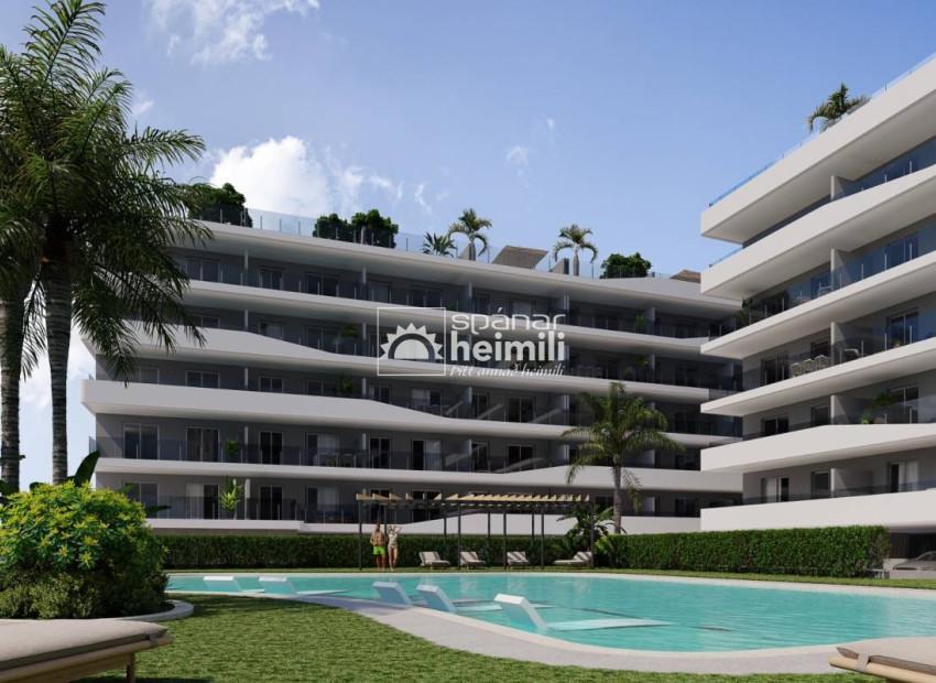 Nieuwbouw - Appartement -
Alicante en omgeving - Alicante og nærsvæði