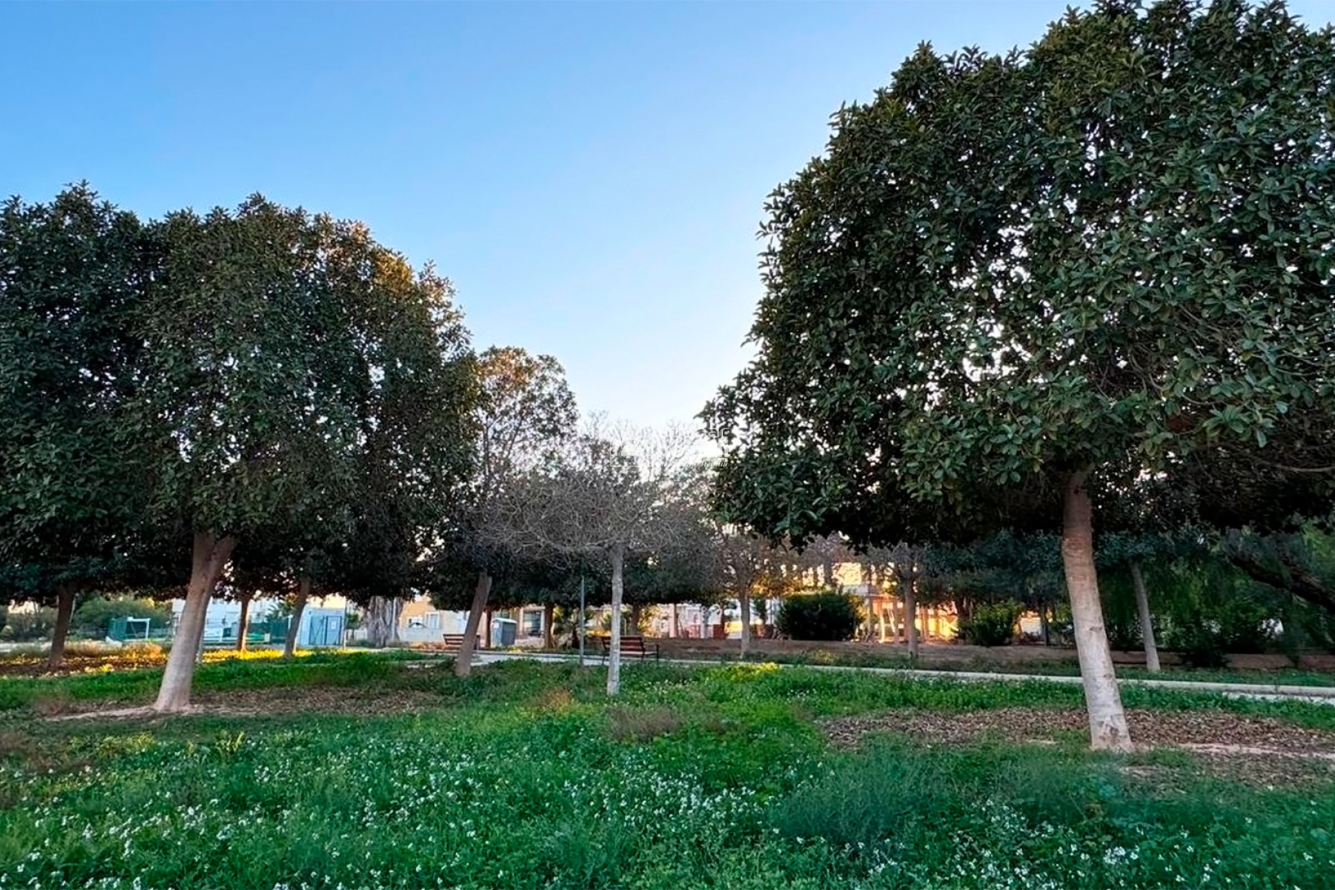 Nieuwbouw - Villa -
Quesada/Benijofar