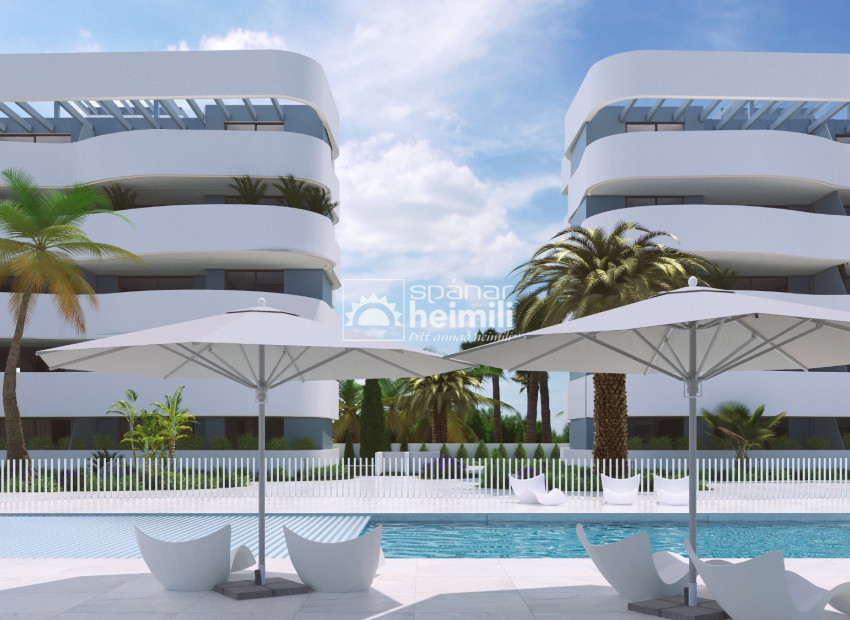 Nouvelle construction - Appartement -
El Raso