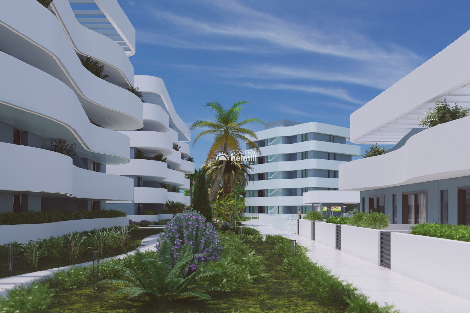 Nouvelle construction - Appartement -
El Raso