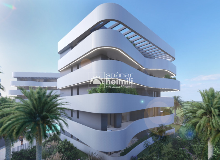 Nouvelle construction - Appartement -
El Raso