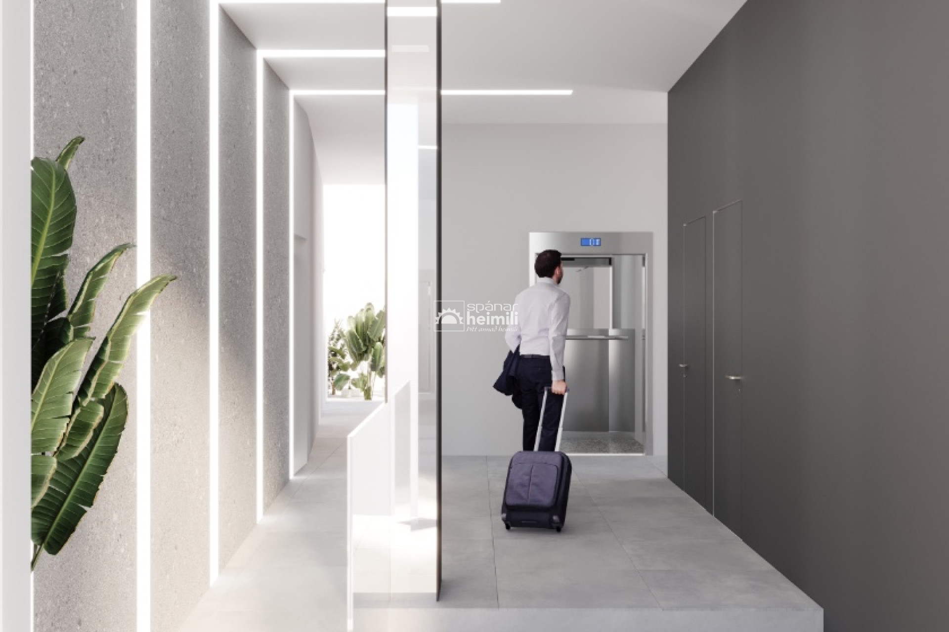 Nouvelle construction - Appartement -
Torrevieja