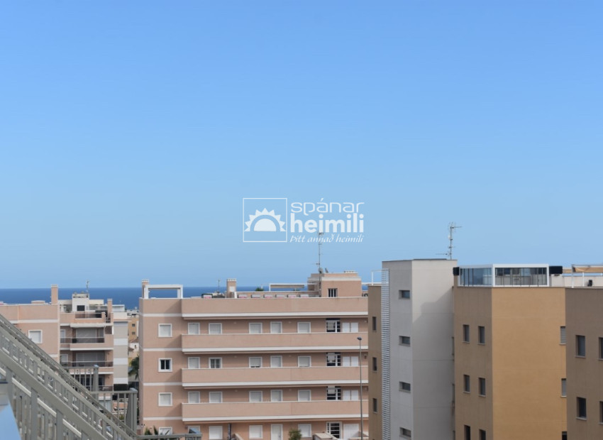 Nouvelle construction - Appartement -
Villamartin