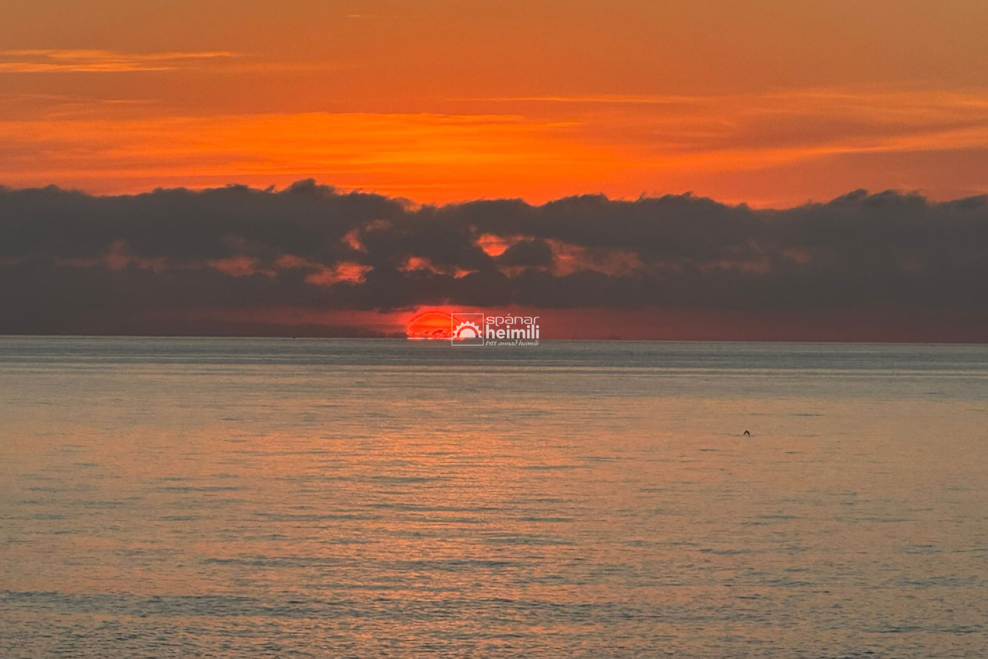 Nowy budynek -  -
Almería