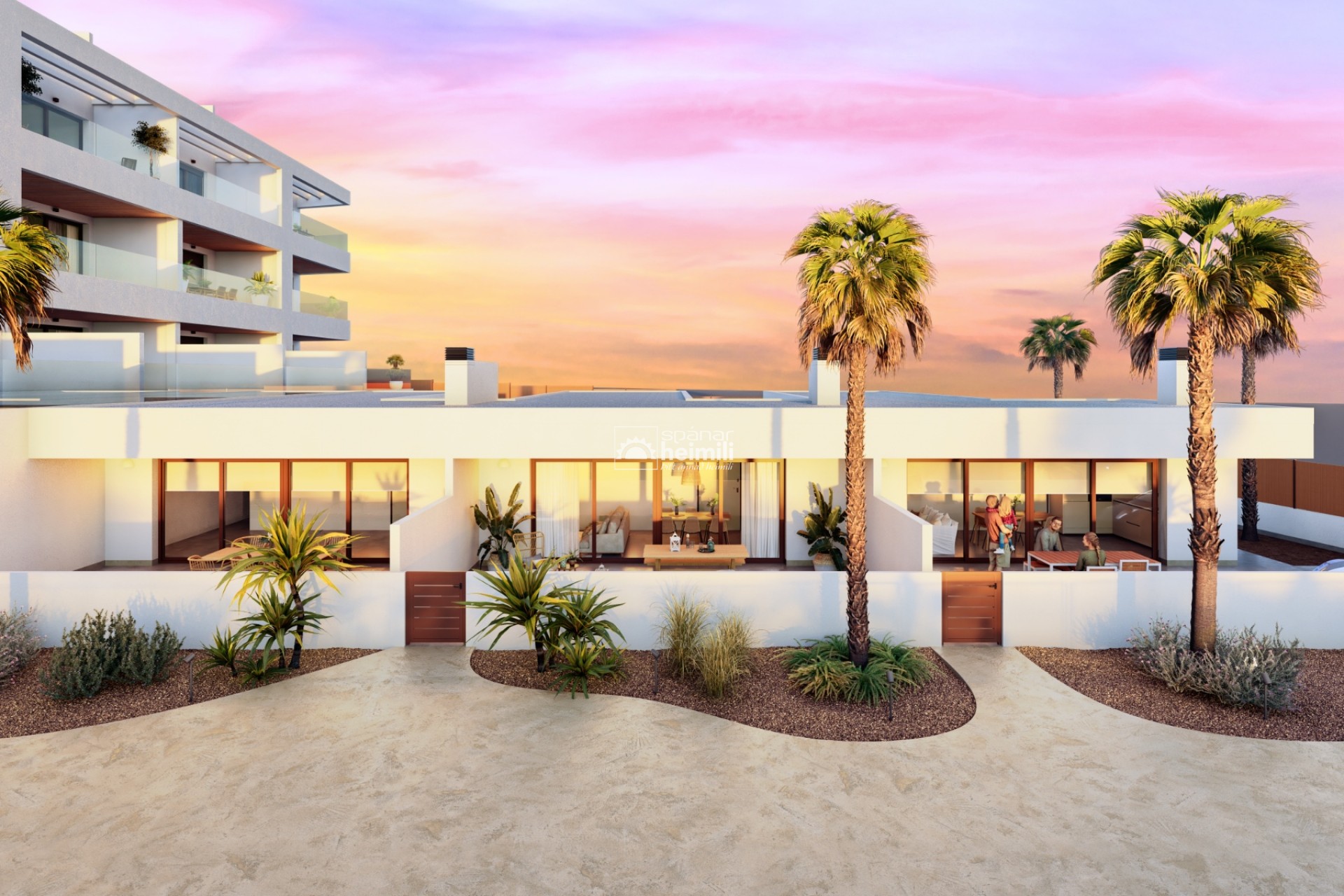Nowy budynek -  -
Torrevieja