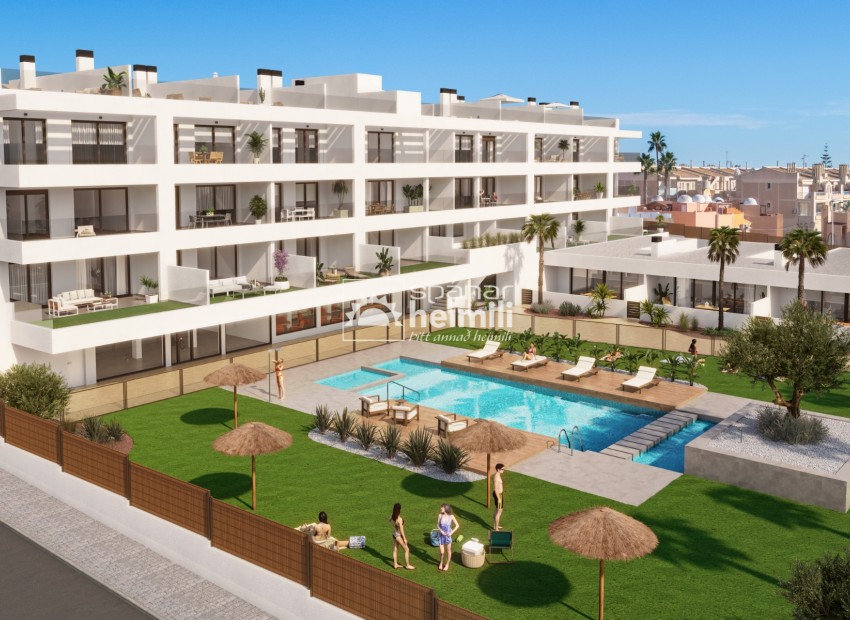 Nybyggeri -  -
Torrevieja