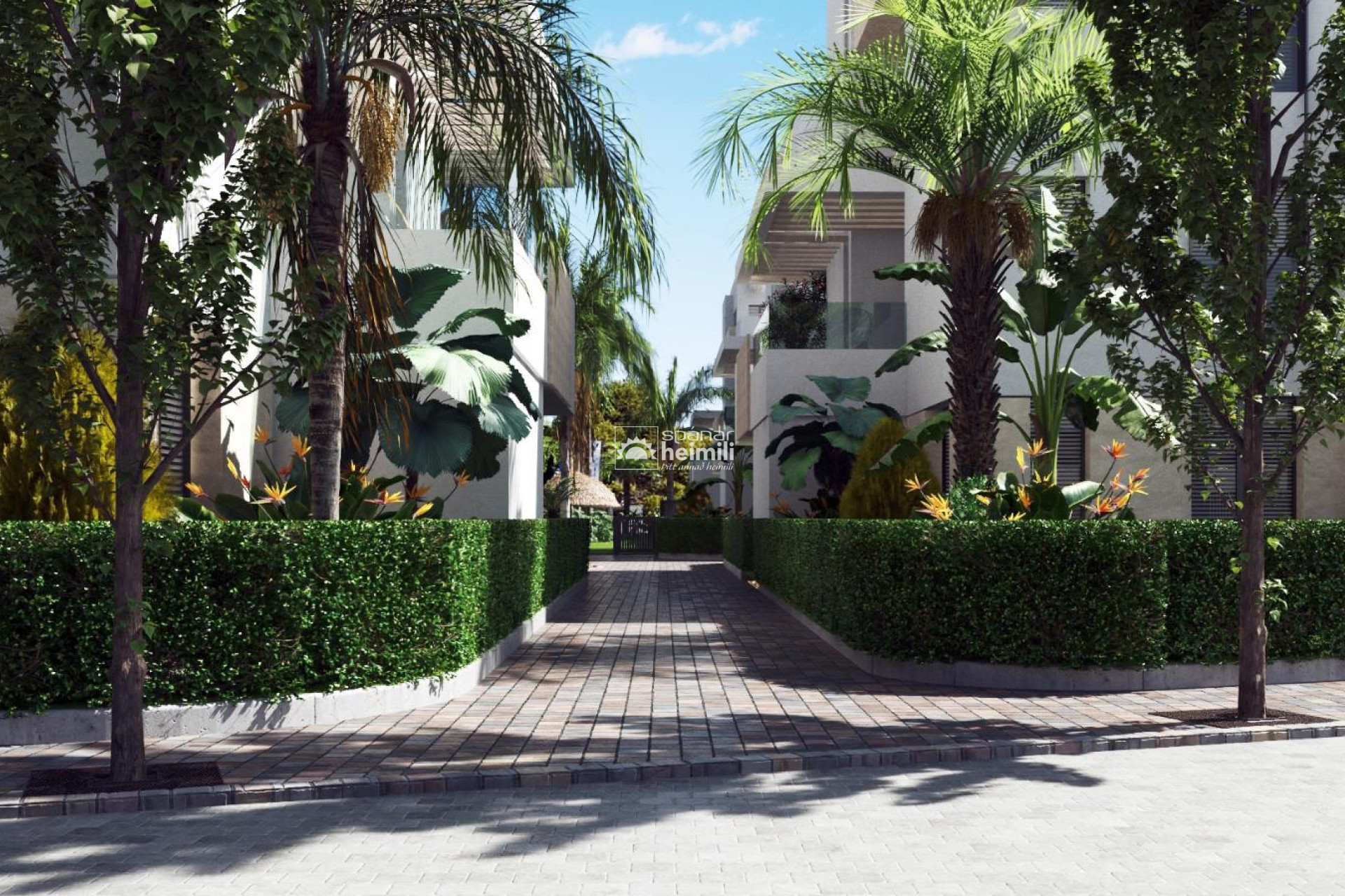 Obra nueva - Apartamento -
Santa Rosalia