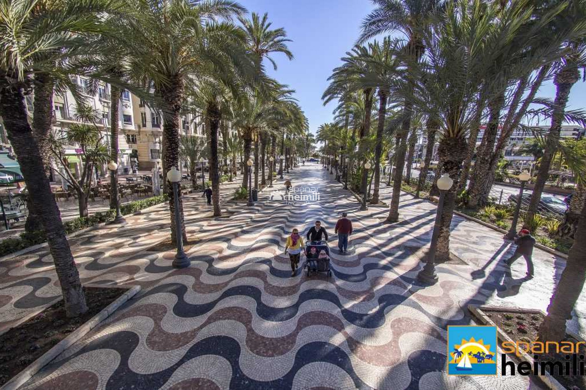 Obra nueva -  -
Pilar de la Horadada