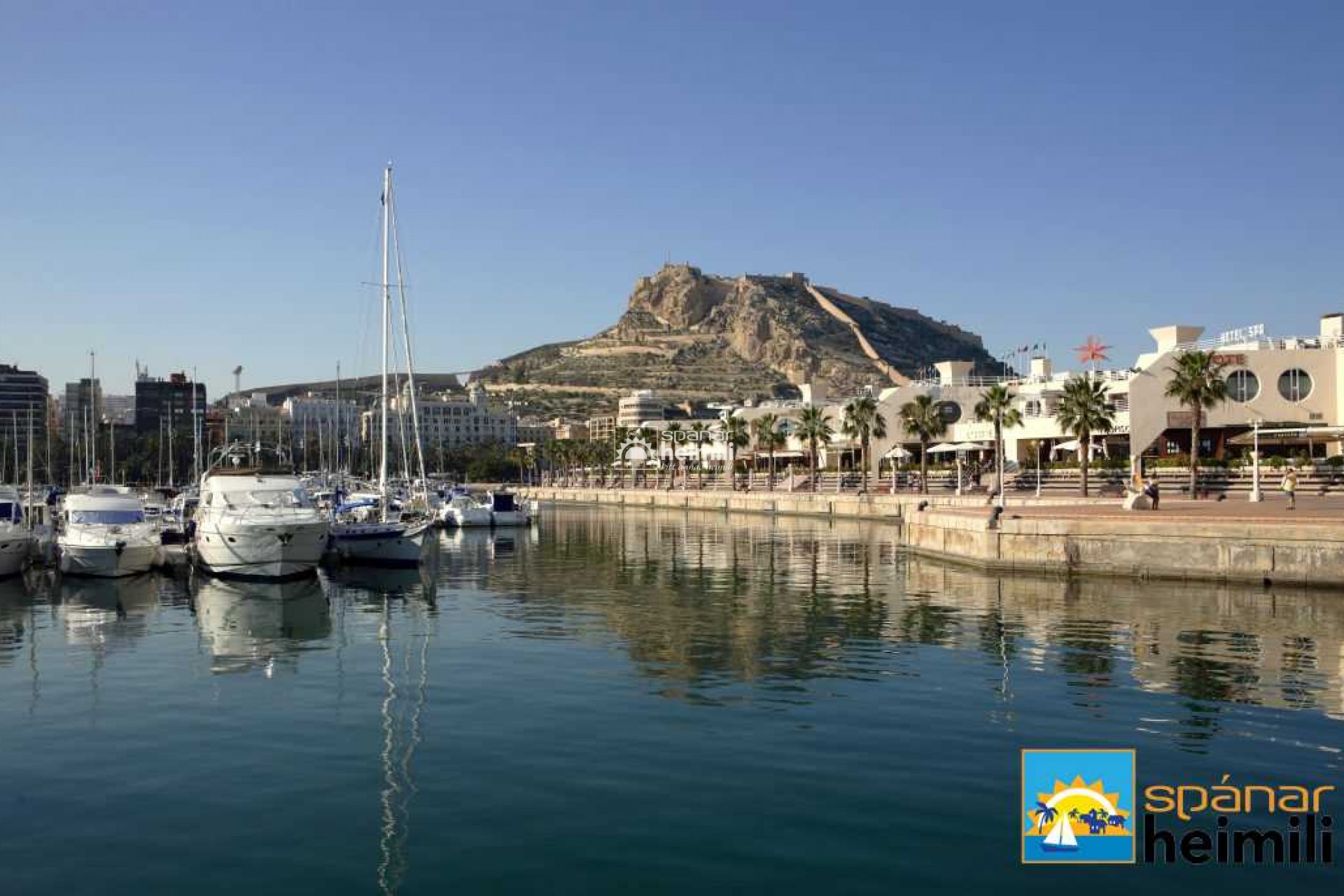 Obra nueva -  -
Pilar de la Horadada