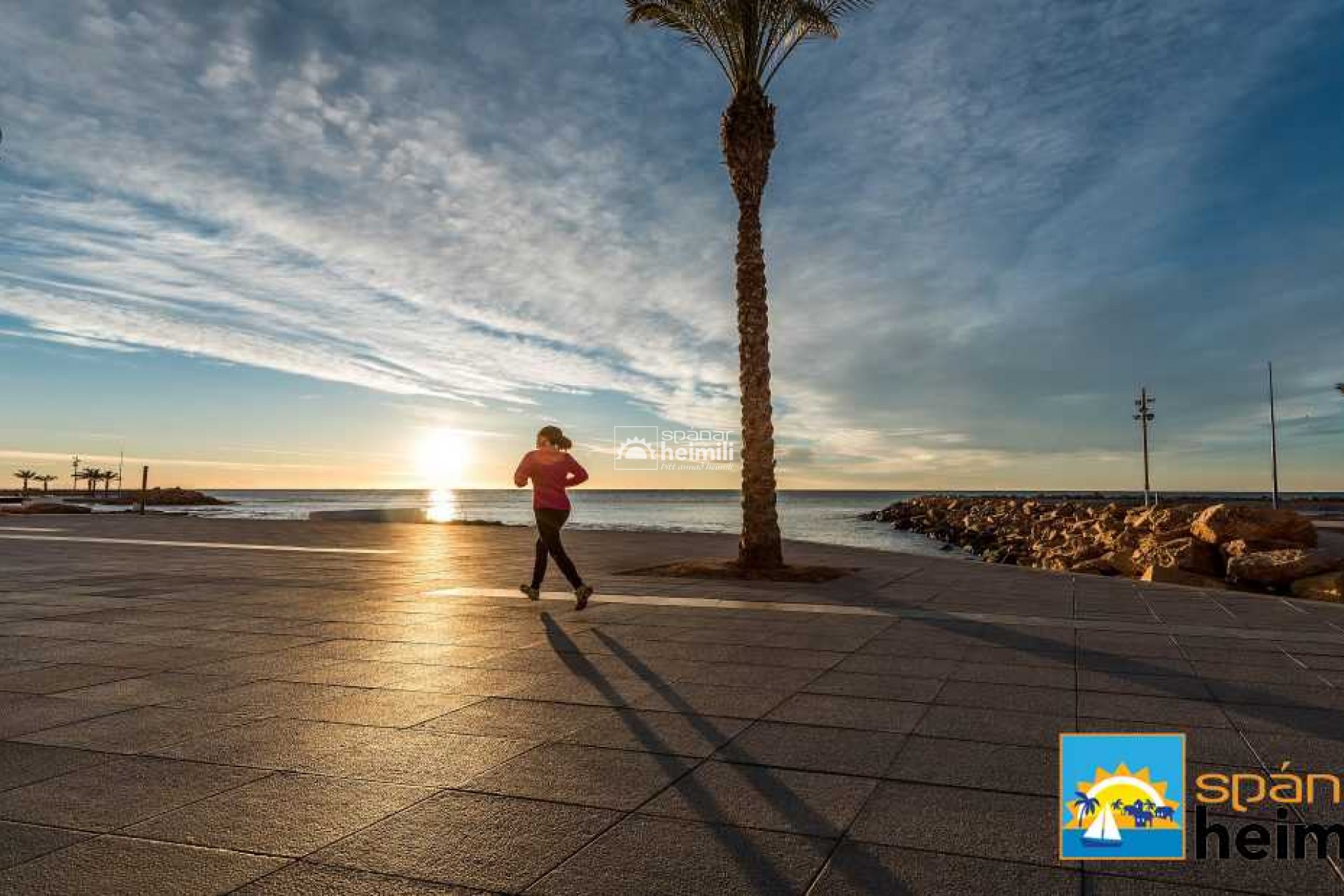 Obra nueva -  -
Pilar de la Horadada