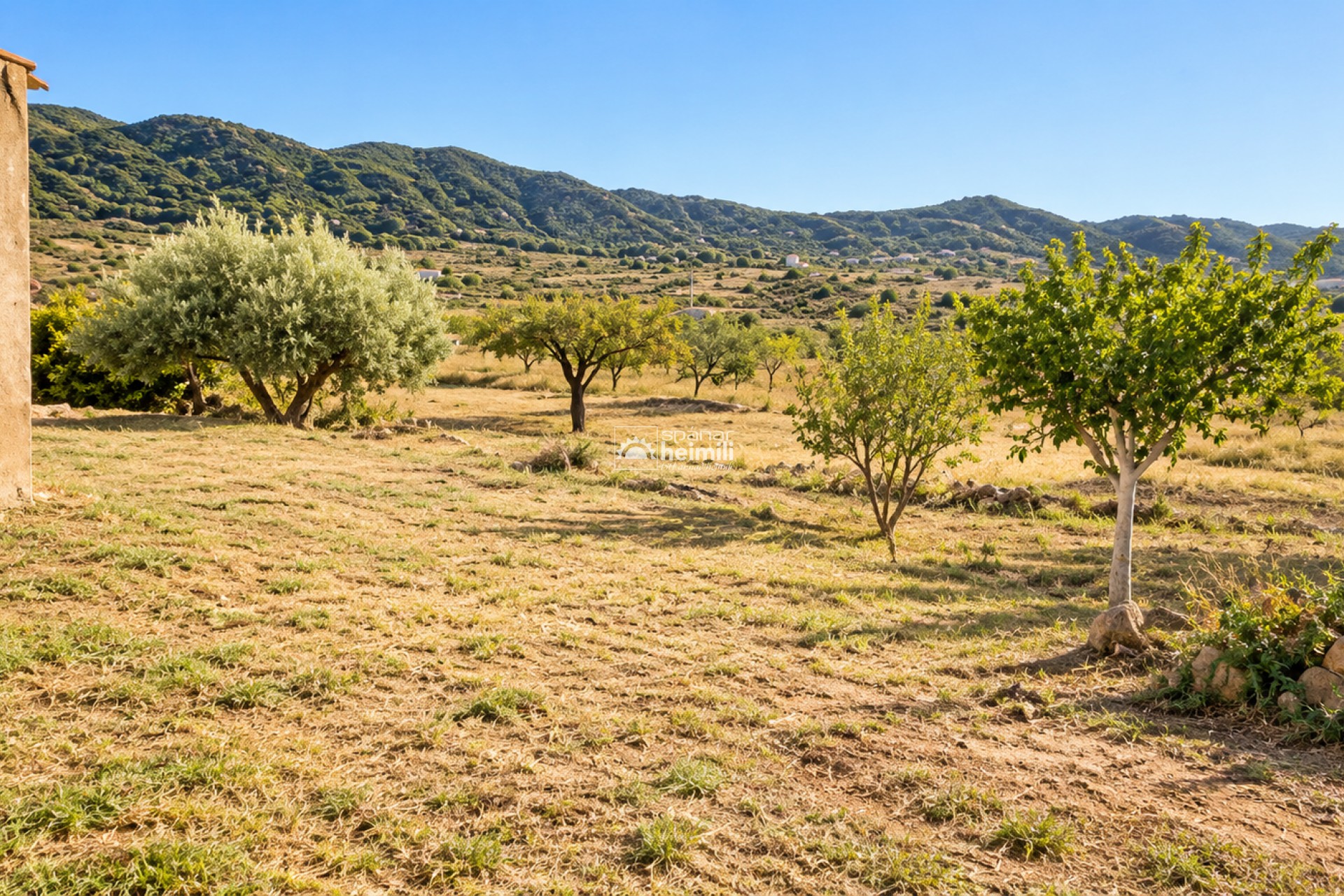 Odsprzedaż - finca -
Tallante