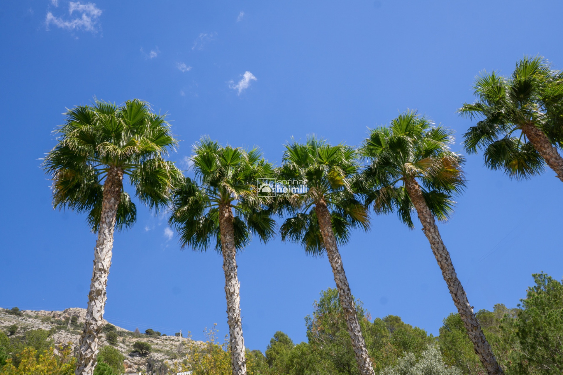 Odsprzedaż - Mieszkanie -
Albir, Alfaz / Altea - Altea