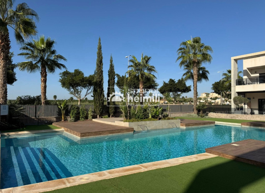 Resale - Apartment -
El Raso