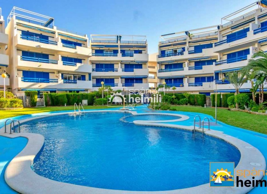 Resale - Apartment -
Playa flamenca