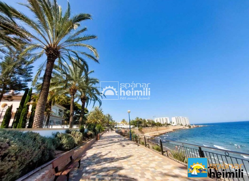 Resale - Apartment -
Punta Prima