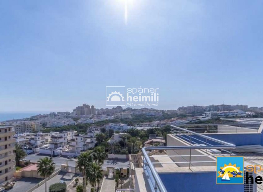 Resale - Apartment -
Torrevieja