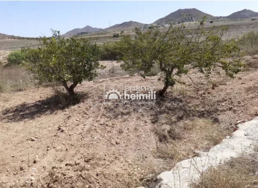 Resale - Detached house -
Cartagena