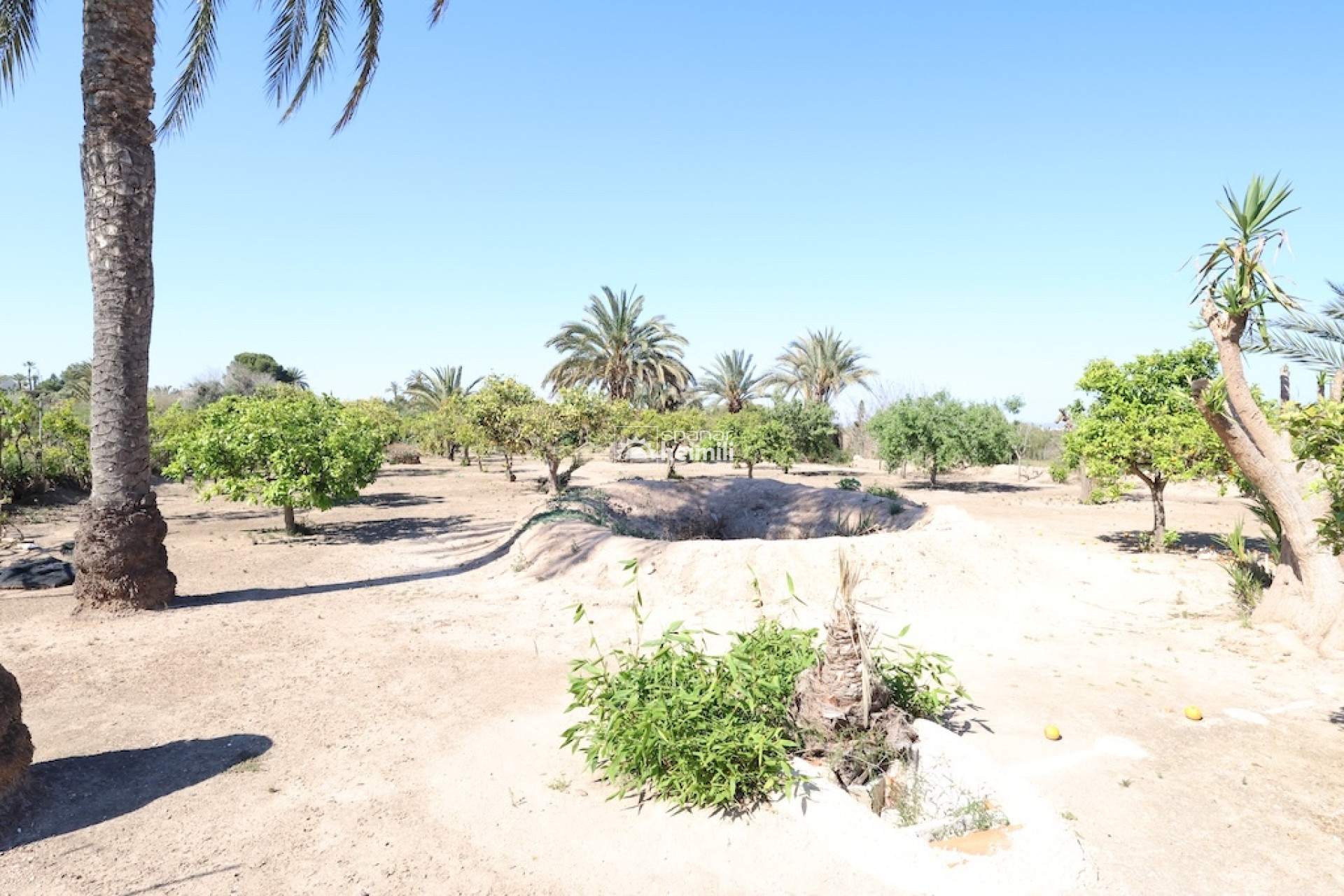 Resale - Detached house -
Guardamar/La Marina