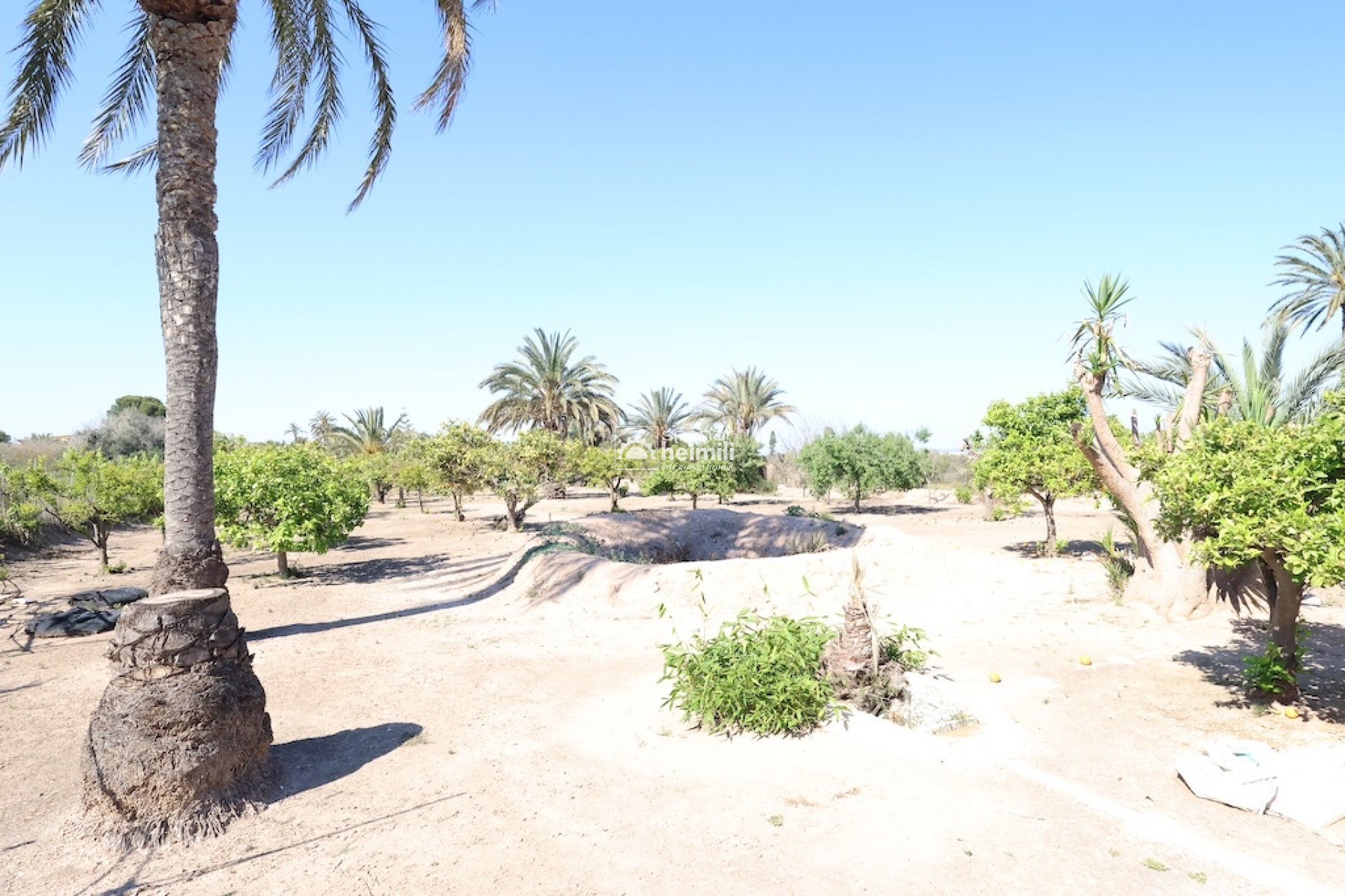 Resale - Detached house -
Guardamar/La Marina