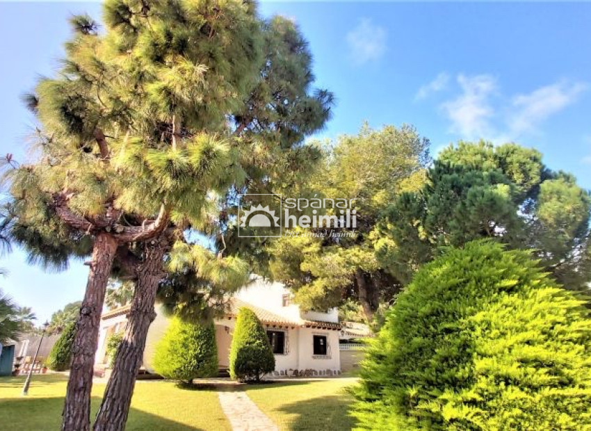 Resale - Detached house -
Punta Prima