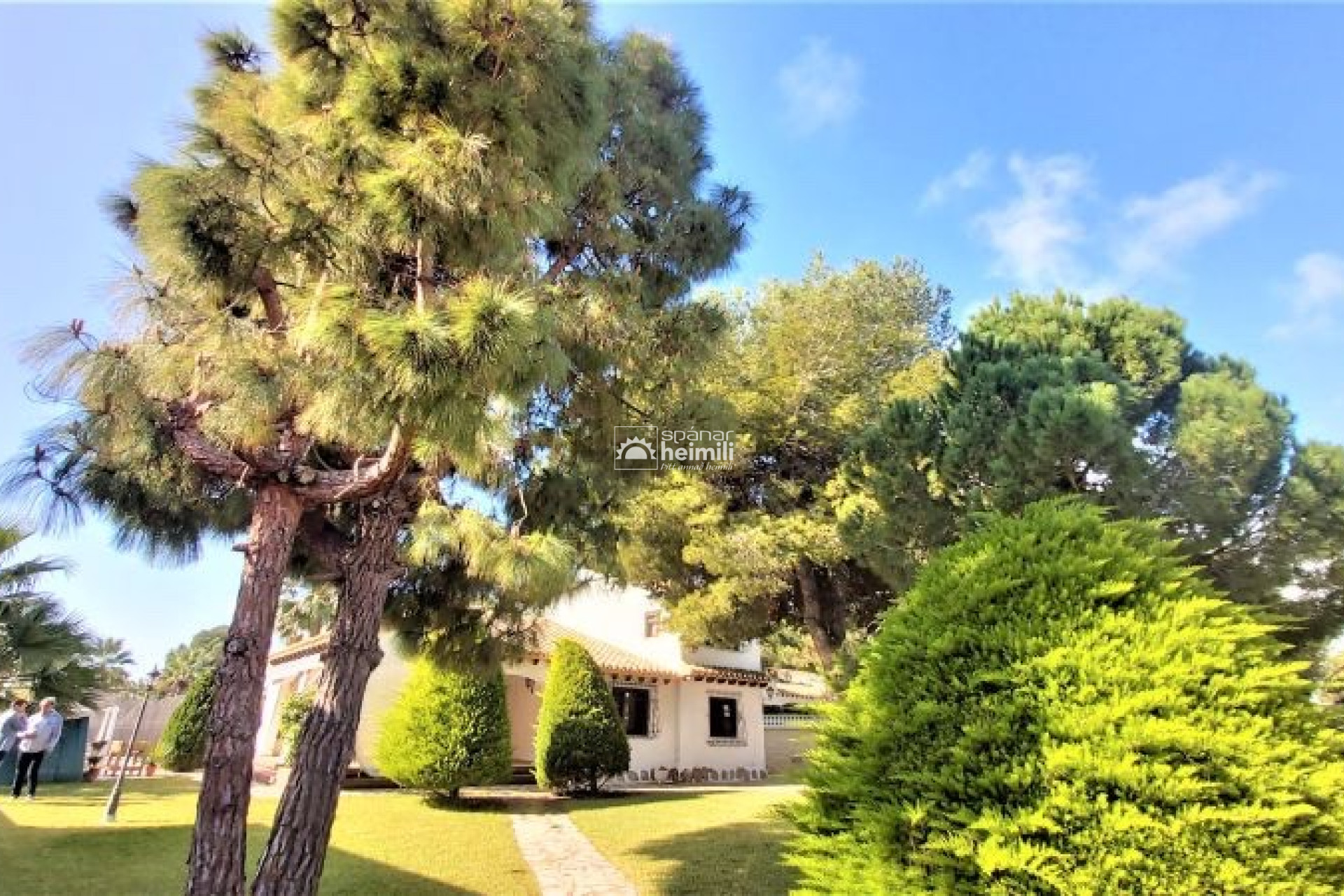 Resale - Detached house -
Punta Prima