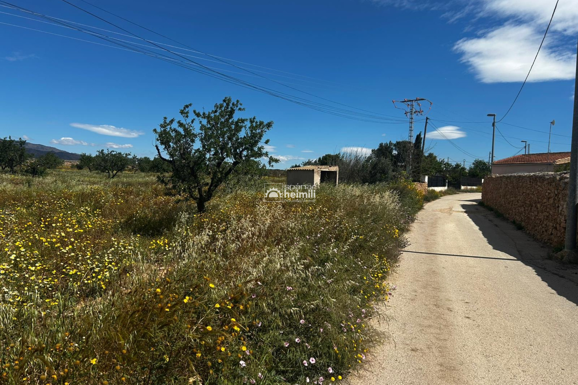 Resale - Finca rústica -
Cartagena