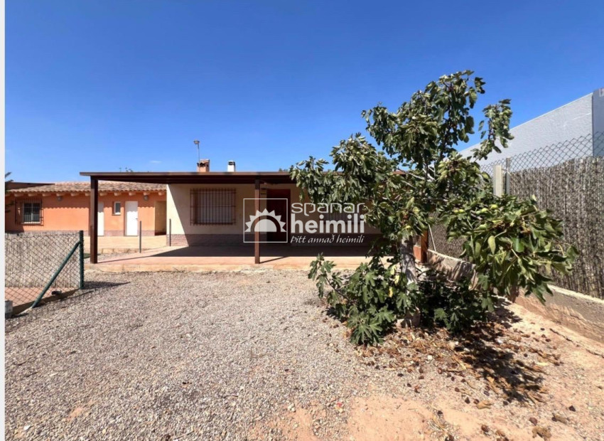Resale - Finca style house -
Balsapintada - balsapintada